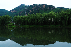 nature Caring for the Environment