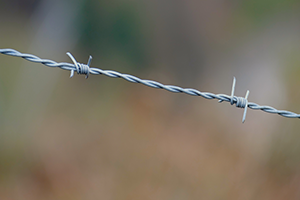 wire Cross-Cultural Tensions and Polarization