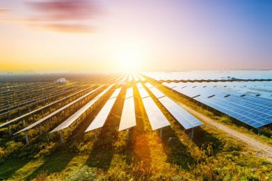 Rows of solar panels in a field